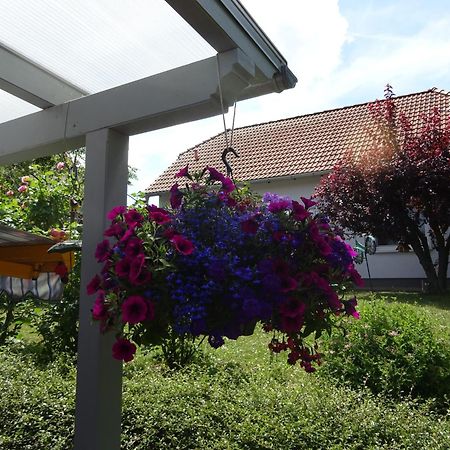 Ferienwohnung Relax Ilsenburg Dış mekan fotoğraf