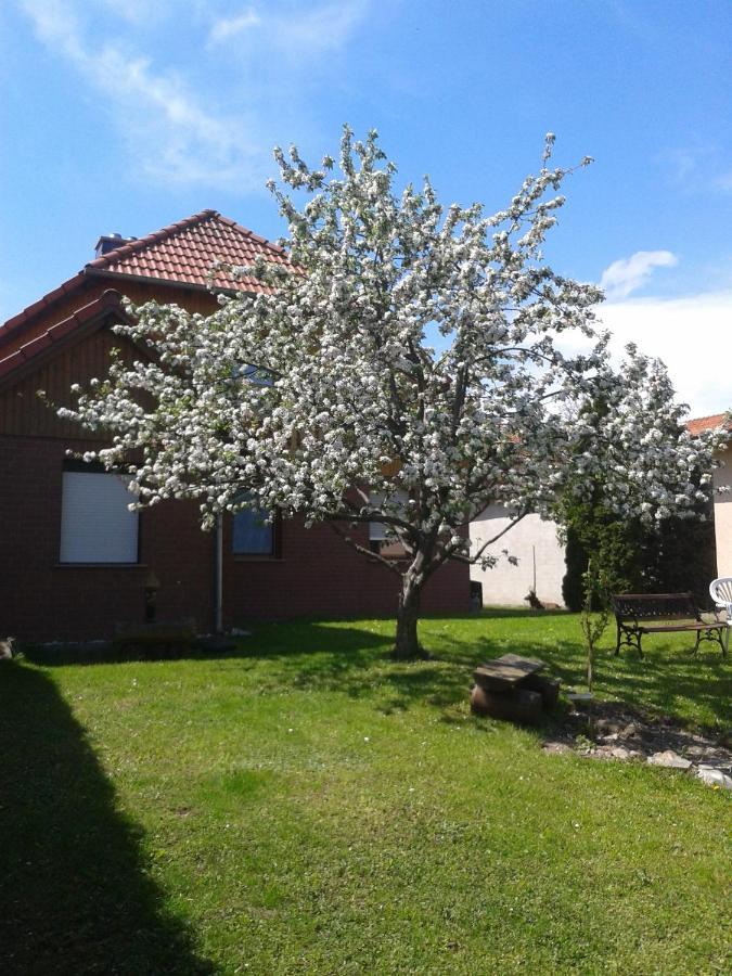 Ferienwohnung Relax Ilsenburg Dış mekan fotoğraf