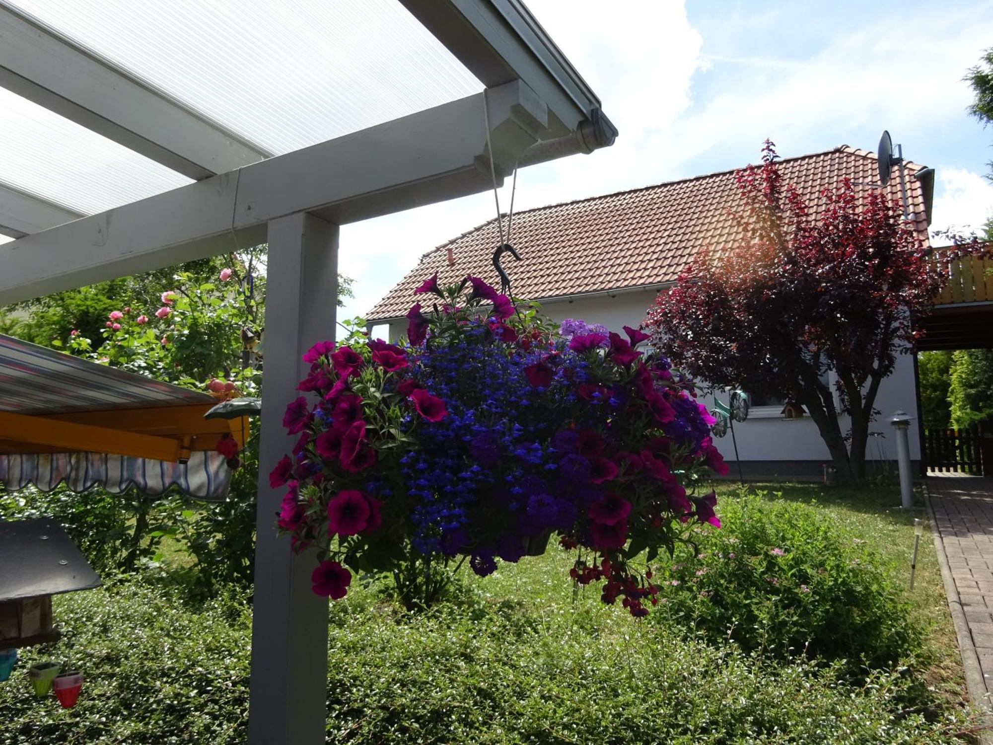 Ferienwohnung Relax Ilsenburg Dış mekan fotoğraf
